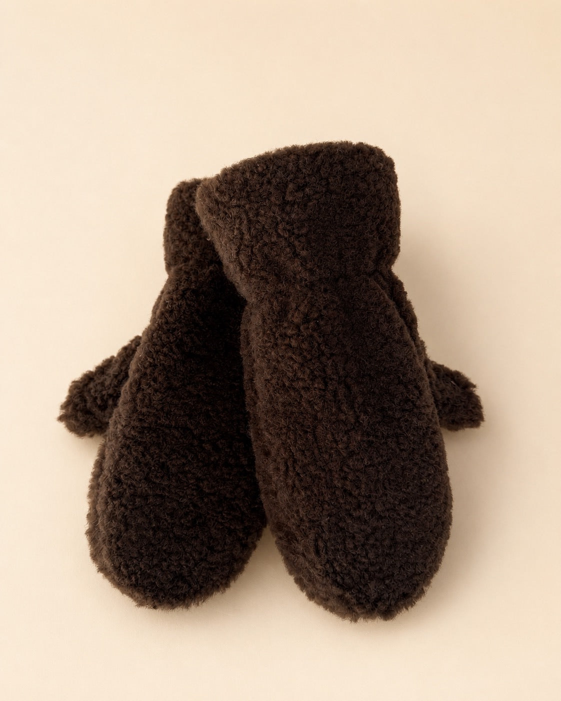 Teddy Handschuhe